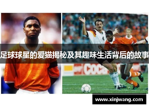 足球球星的爱猫揭秘及其趣味生活背后的故事